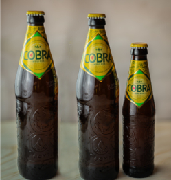 Three bottles of Cobra beer at Indian Restaurant Gandhi